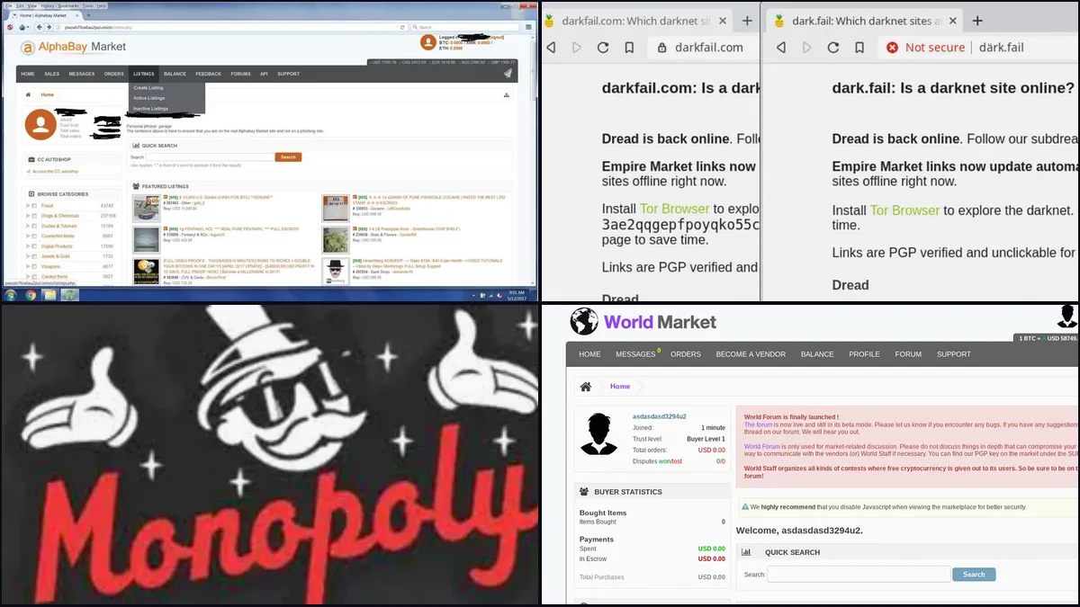 How to Reach Torch and Run Your First Search Safely