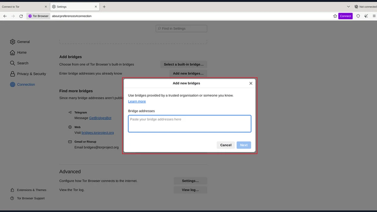 Tor Bridges: Understand the Entry Connection